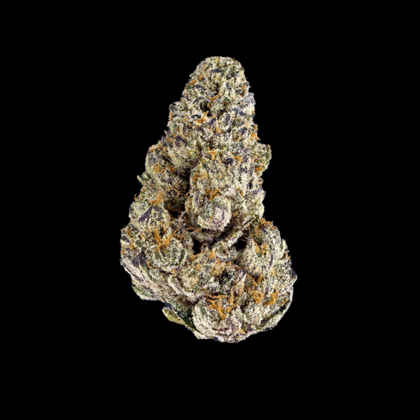 An all around view of Black Ice Flower strain,showing rich trichrome coated flowers with deep green and purple colors.