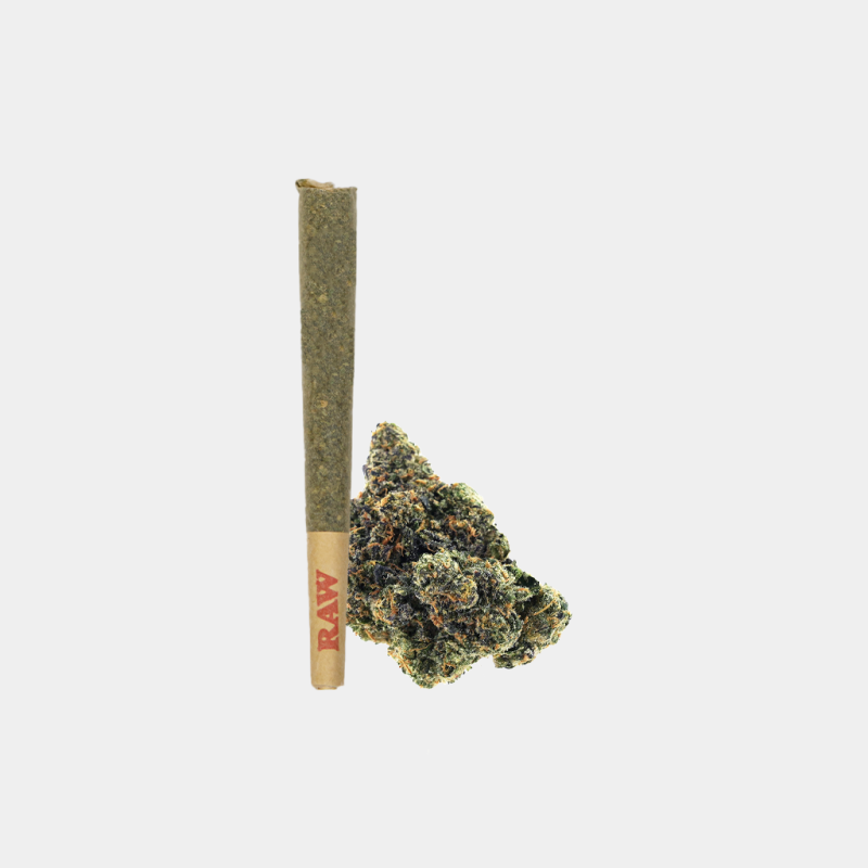 Jealousy preroll by BOOM, THCa Flower rolled and ready with fruity and Creamy Citrus notes. Perfect for sharing.