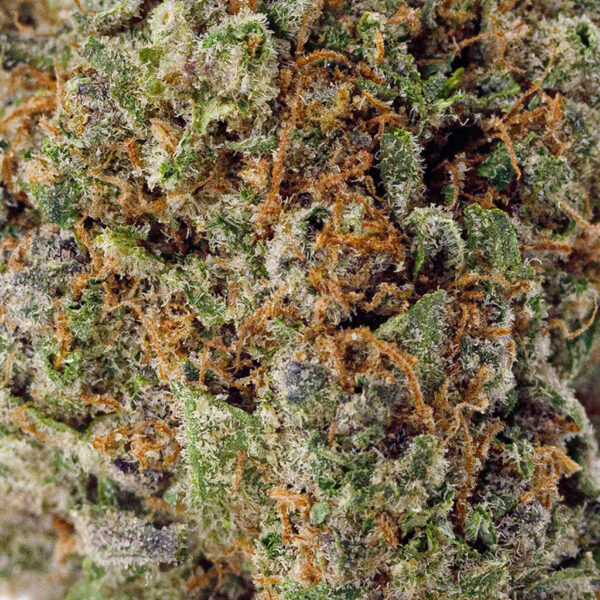 BOOM Oreoz THCa flower macro shot, highlighting dense frosty trichomes and vibrant green hues with sweet, savory scent