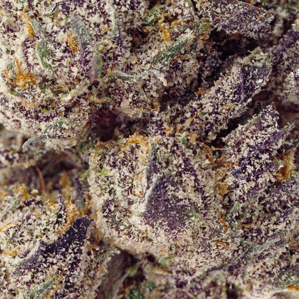 BOOM’s Top Shelf Pink Runtz THCa flower in a close-up, showcasing crystal trichome coverage and vibrant colors