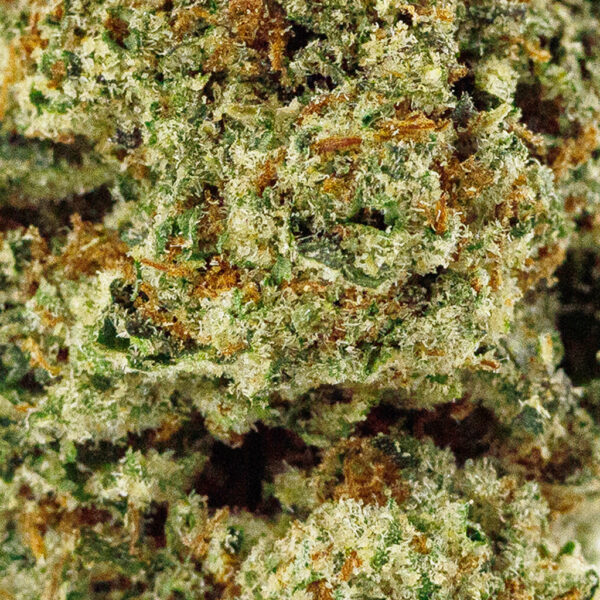 BOOM S’mores Premium THCa flower macro shot, highlighting frosty trichomes, and rich green color depth