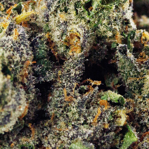 Macro shot of Strawberry Shortcake Premium THCa flower, showcasing rich green and purple colors and frosty trichomes